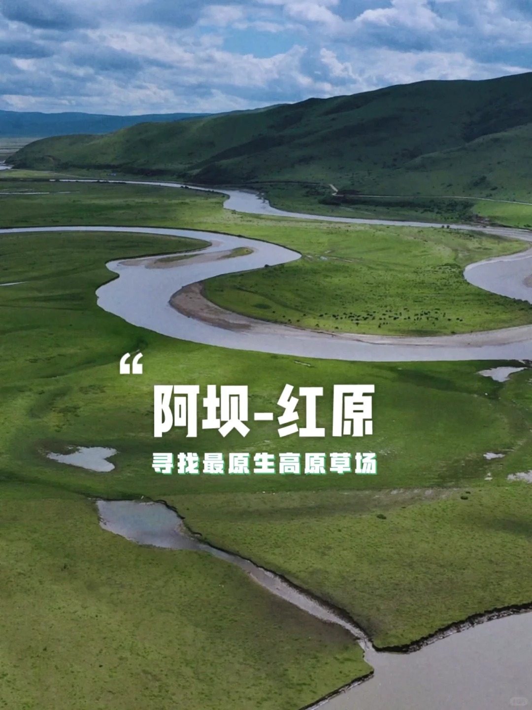 这么野的大草原，竟然不花钱_1_WH1TE-A_红原草原-来自52tours 我爱旅游网